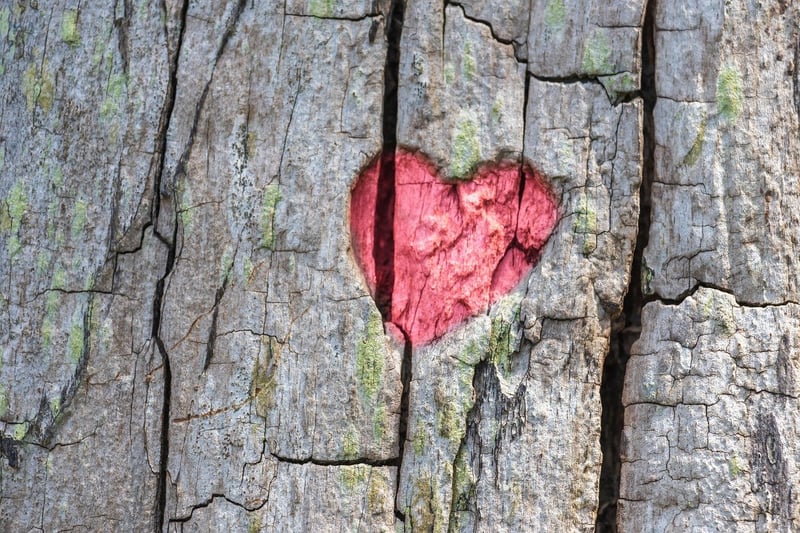 Tree image